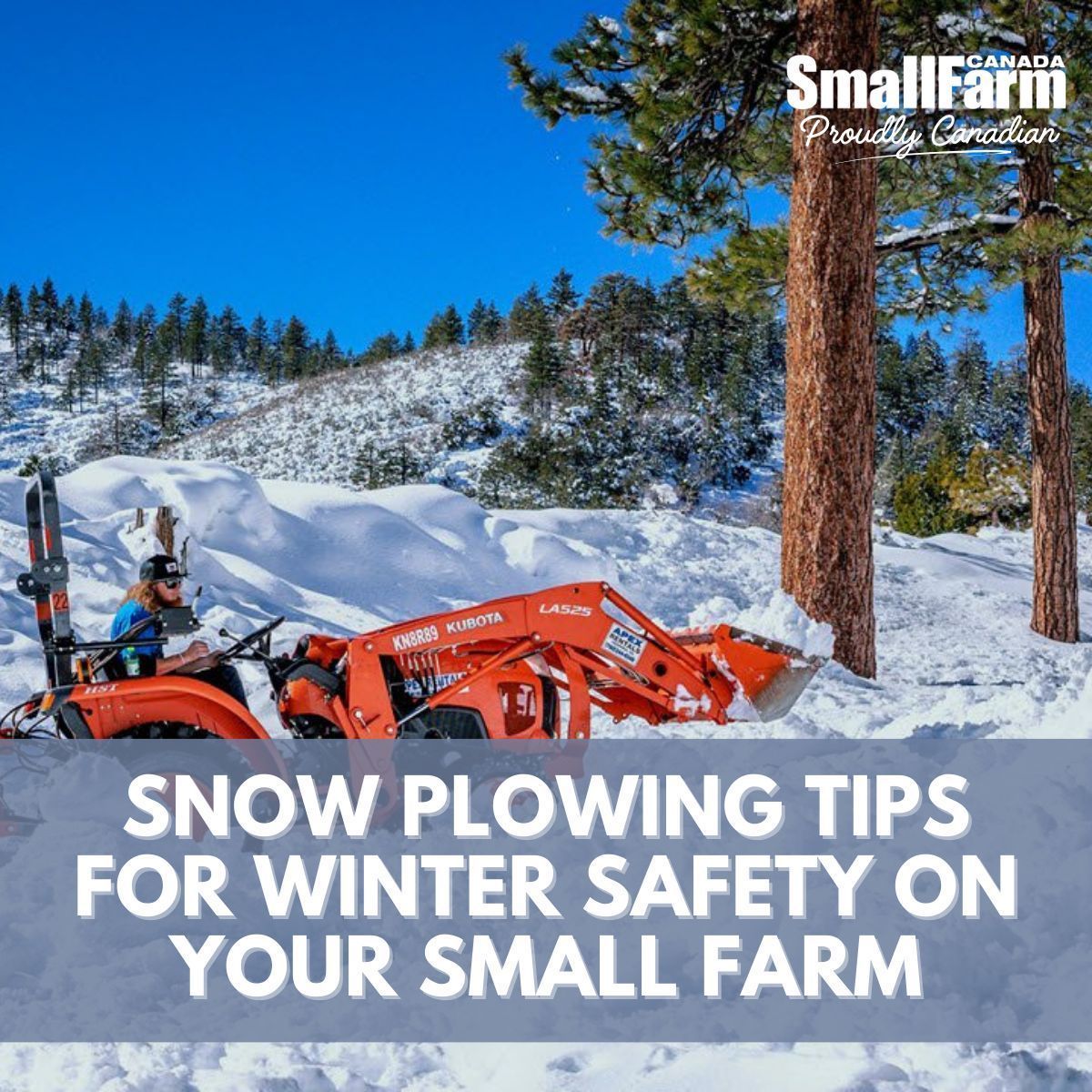 Snow Plowing Tips for Winter Safety on your Small Farm.

Proper techniques make snow removal more effective and help roads and paths on your small farm stay open throughout long snow season. 

See our winter plowing methods ⤵️ 

smallfarmcanada.ca/news/snow-plow… 

#SmallFarm