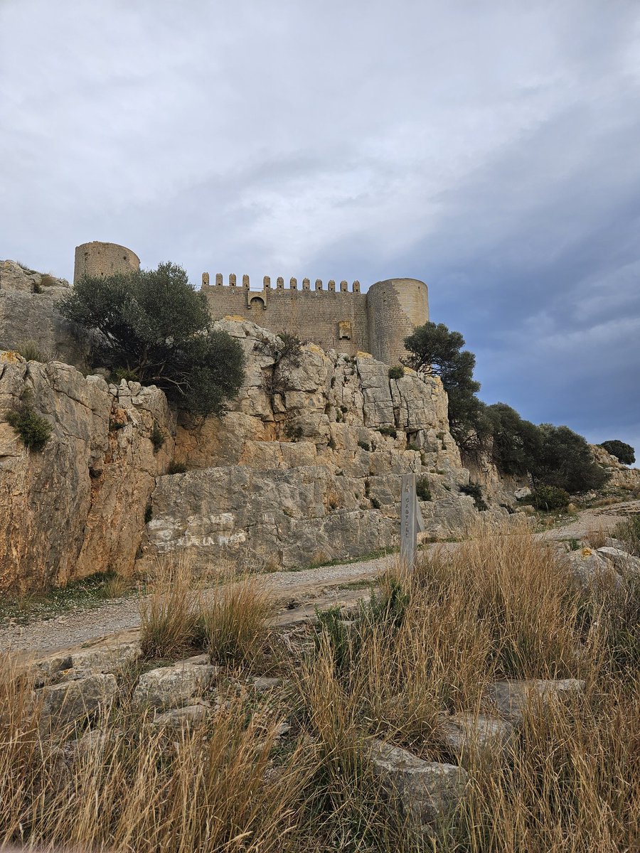 Comencem setmana ➕️
Bona tarda 🤸‍♂️