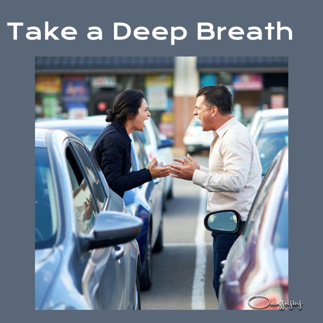 🎄🚗  Holiday Reminder: Don’t let your child’s core memory of Christmas be  “that one time Mom or Dad almost threw down the old guy in the Walmart parking lot.”  
The  parking spot isn’t worth it. Take a deep breath, and be the  bigger person—your sanity will thank you. ✨