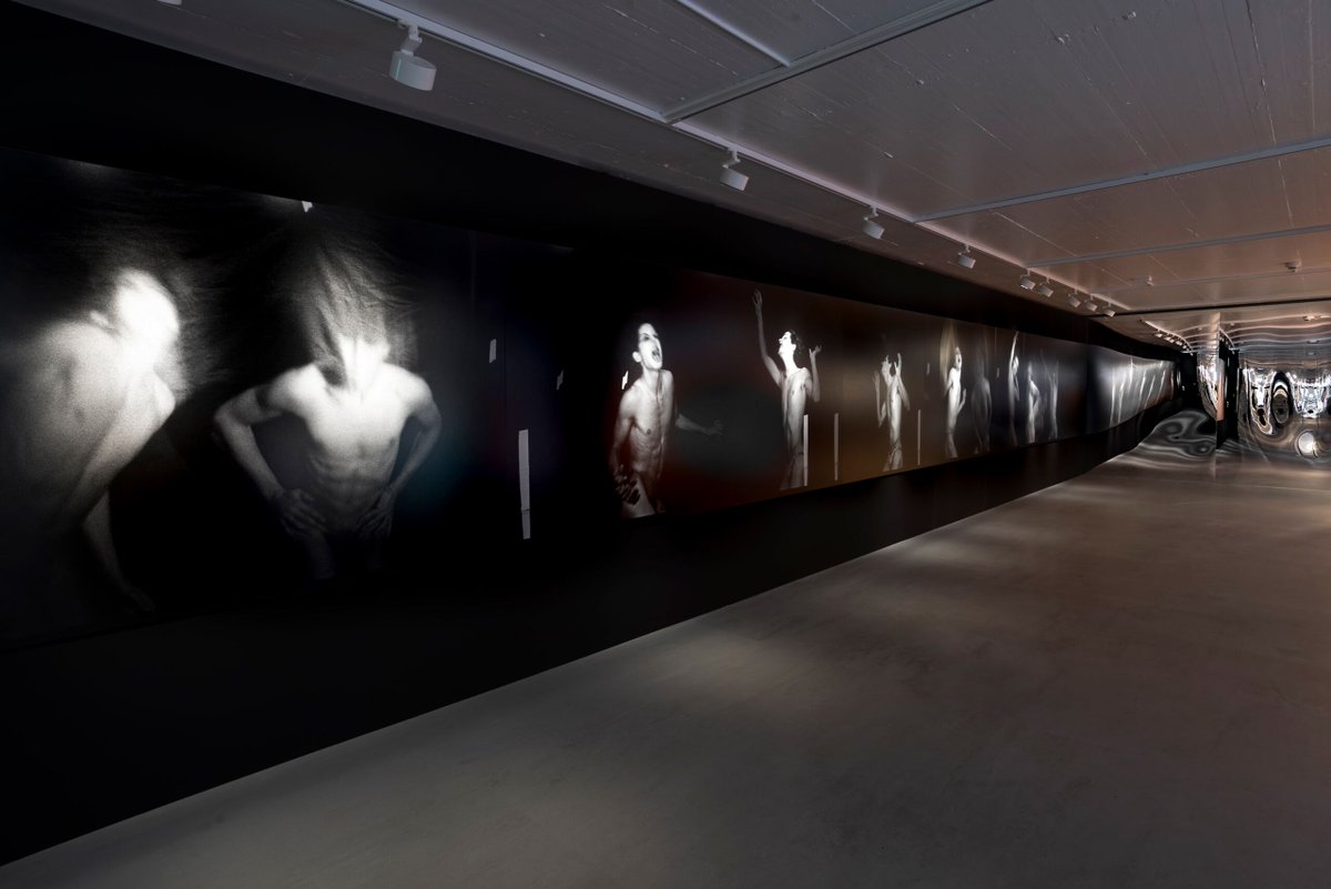 BaselLive tweet media