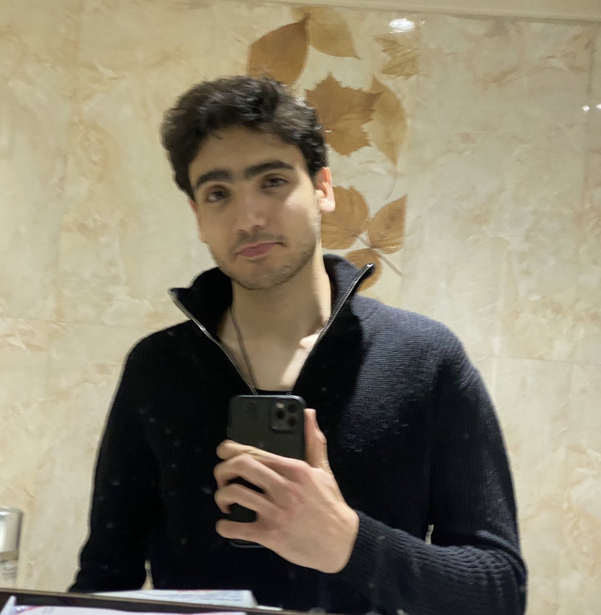 Amirmahdi tweet media
