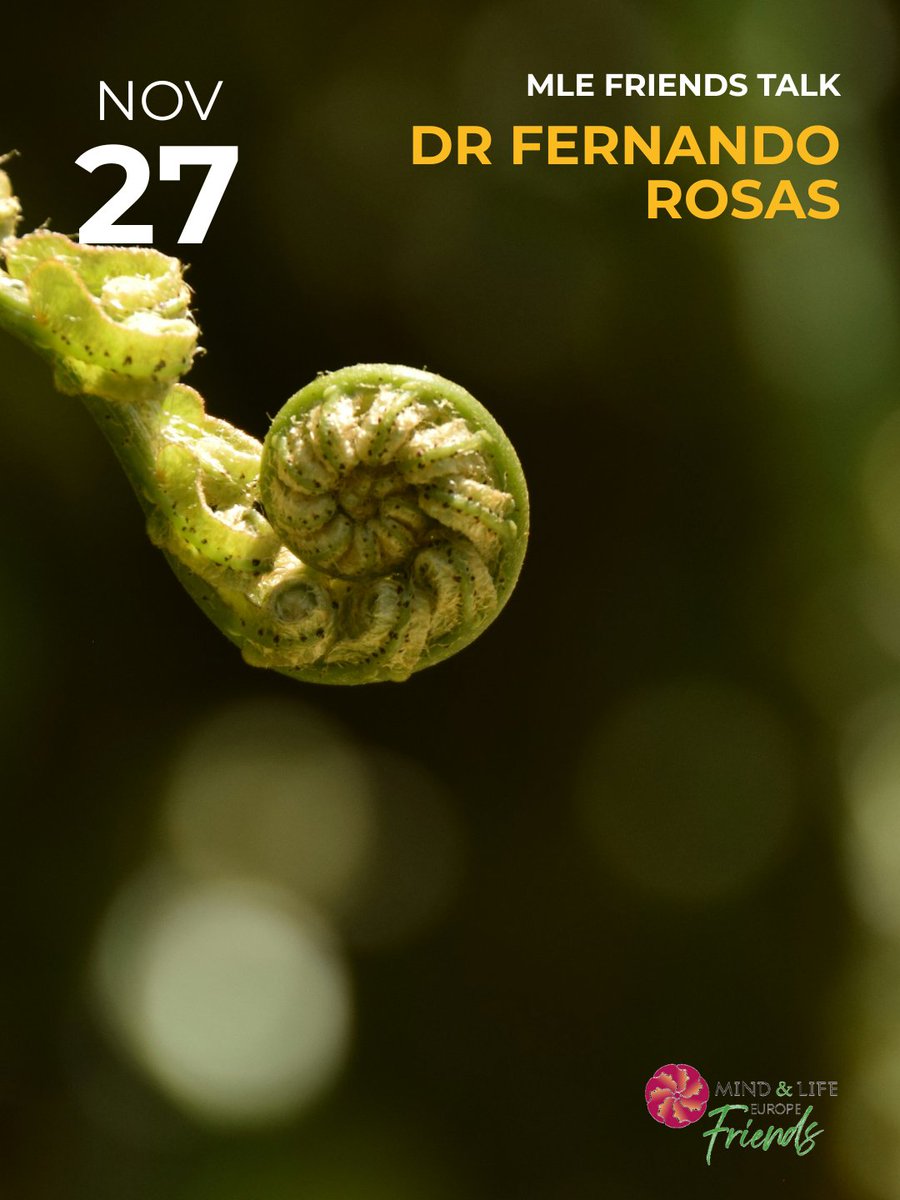 MindandLifeEU's tweet image. Don’t miss Dr Fernando Rosas’ talk this Thursday 27th Nov for a deep dive into emergence in complex systems. Available to all MLE Friends!

Learn more and register now: ow.ly/YCTA50XwLVE

#MindAndLifeEurope #ComputationalNeuroscience #Complexsystems #AI #Emergence