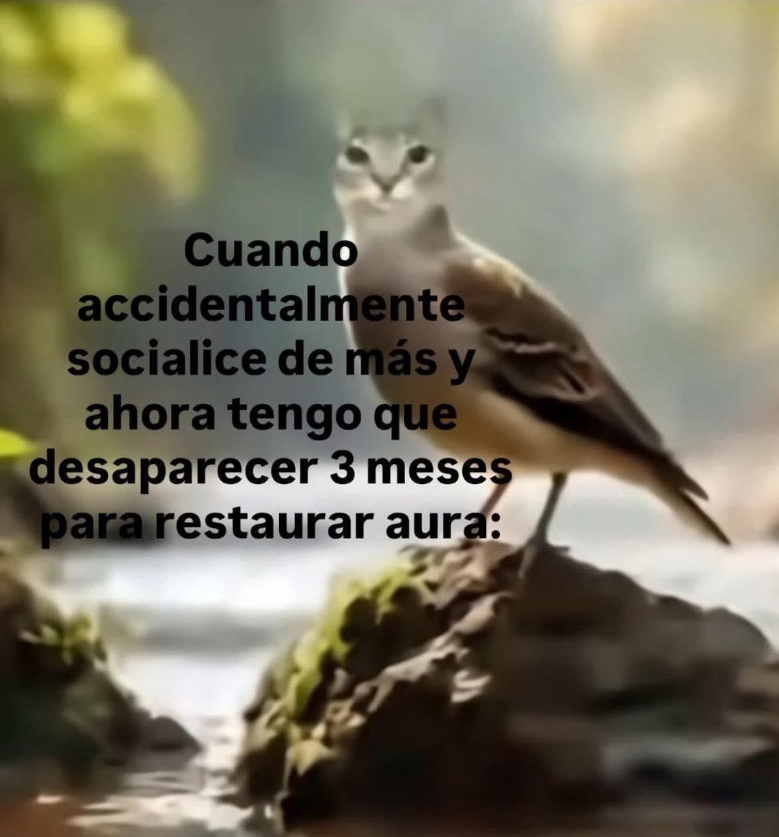 memes feos yo qué sé (@memefeos) on Twitter photo 