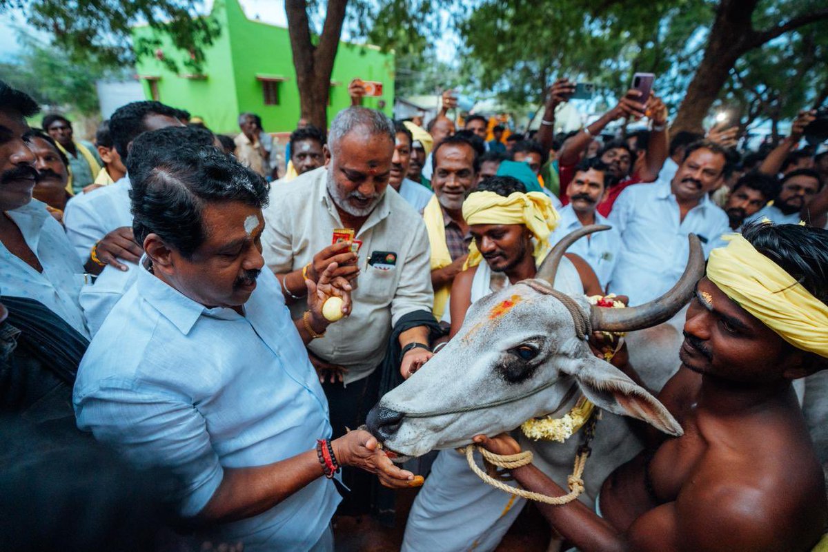 NainarBJP's tweet image. இன்றைய தினம் &quot;தமிழகம் தலை நிமிர தமிழனின் பயணம்&quot; யாத்திரையின் ஒரு பகுதியாக தேனி மாவட்டம் கரட்டுப்பட்டி மக்களின் வாழ்வதாரத்தை காக்க மலைமாடுகளுக்கான மற்றும் அந்த மாடுகள் இனத்தை இன்று வரை தேனி மலை மாடுகள் அழியாமல் பாதுகாக்கும் அந்த மக்களுக்கான கோரிக்கைகள் மற்றும் விவசாயிகளின்…