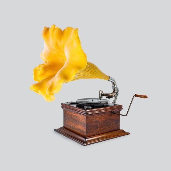 𝐐𝐮𝐞𝐞𝐧‿𝐩𝐚𝐫𝐨 ♡ tweet media