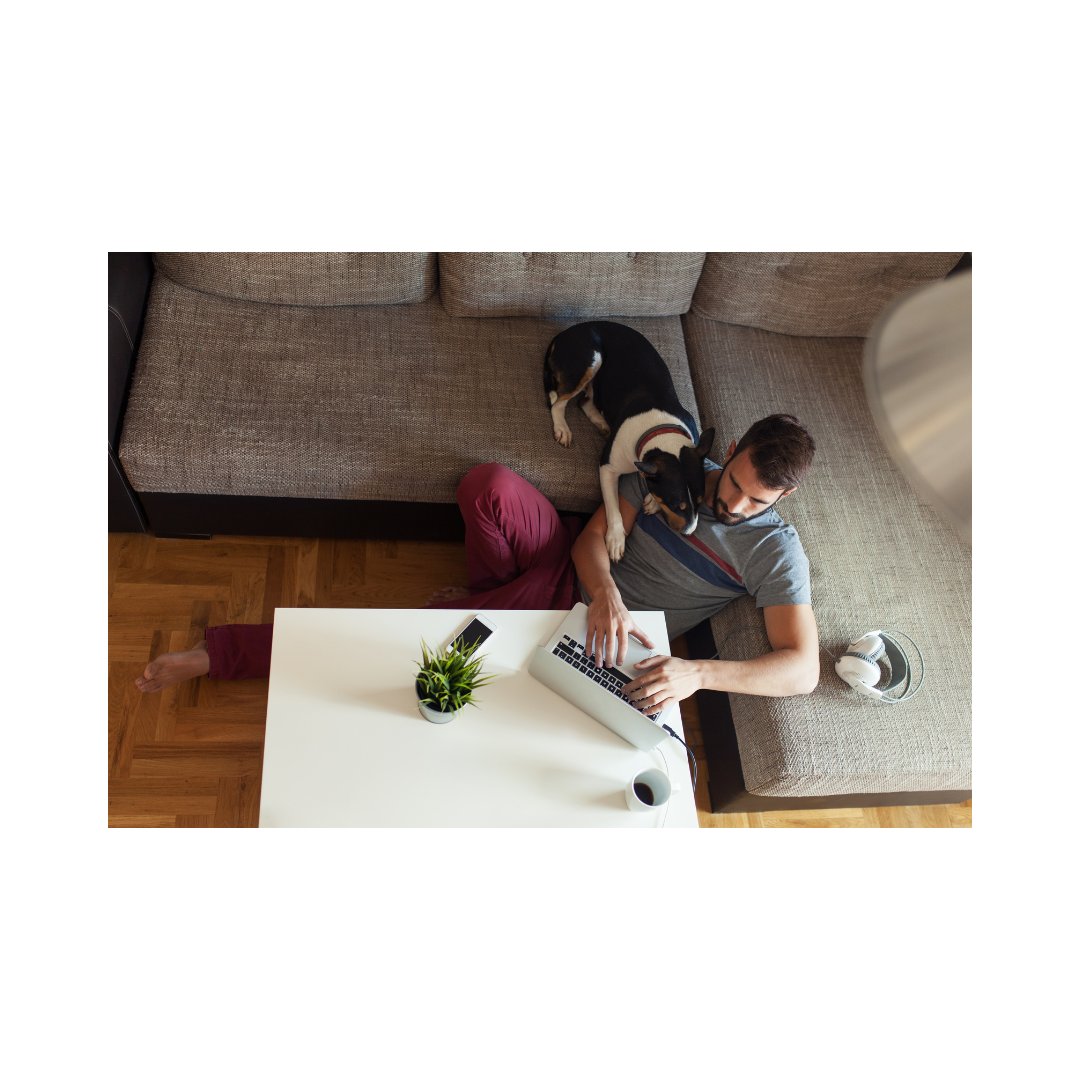 WrkFromHomeMan's tweet image. &quot;All In One&quot; - Work From Home - Business In A Box
worldprofit.tech/?id=86195   👀 💲 ❤️ 🌈 💥 😎 #makemoneyonline #workfromhome