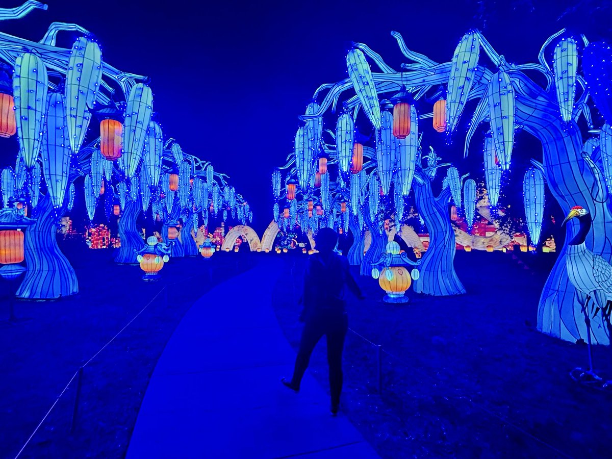 fumikochino's tweet image. #ThreeGoodThings:
1️⃣ #RadiantNature at the Houston Botanic Gardens 🌼🪷🪻🌸 (repping one of my #HCWvsHunger shirts)
2️⃣ setting up our Christmas tree at home 🎄✅
3️⃣ @HCWvsHunger starts in 3 days!! 
hcwvshunger.org