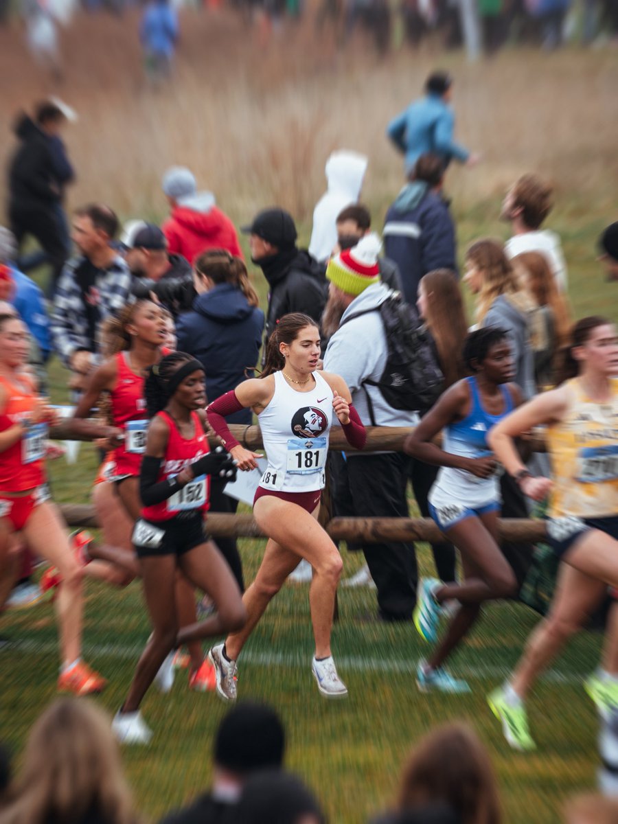 FSU_Track's tweet image. Perseverance in every frame.

  #NoleFamily | #OneTribe
