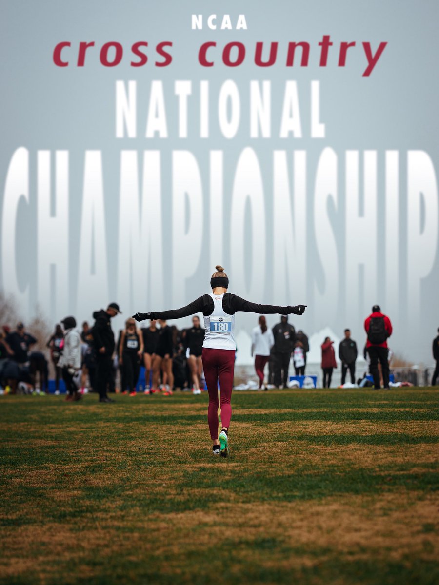 FSU_Track's tweet image. Perseverance in every frame.

  #NoleFamily | #OneTribe