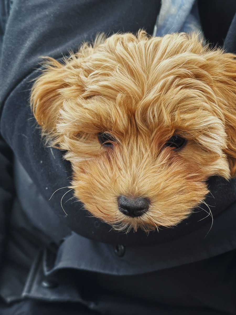 HandWimbledon's tweet image. It’s that time of the year when we all want to feel warm and cosy 🥰😊. Help us help others in need - DONATE A WARM COAT TODAY AND HELP SOMEONE FACING A HARSH WINTER. We’re working hand in hand with Wrap Up London.
#Charity #WrapUpLondon