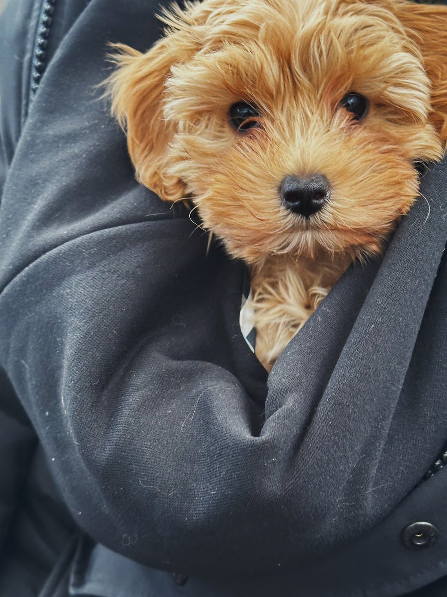 HandWimbledon's tweet image. It’s that time of the year when we all want to feel warm and cosy 🥰😊. Help us help others in need - DONATE A WARM COAT TODAY AND HELP SOMEONE FACING A HARSH WINTER. We’re working hand in hand with Wrap Up London.
#Charity #WrapUpLondon