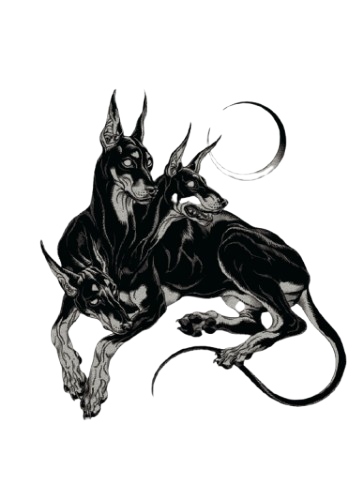 Infr4mund0's tweet image. 