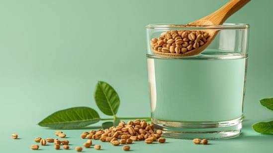 Disc_Digest's tweet image. ✨Health &amp;amp; Wellness: Fenugreek Water for Diabetics
⚡️Dietitian approved morning ritual! 
Drinking Methi Dana (Fenugreek Seed) Water on an empty stomach is highly beneficial for diabetics:

Stabilizes Blood Sugar: Soluble fiber slows sugar absorption.
Boosts Insulin Sensitivity:…