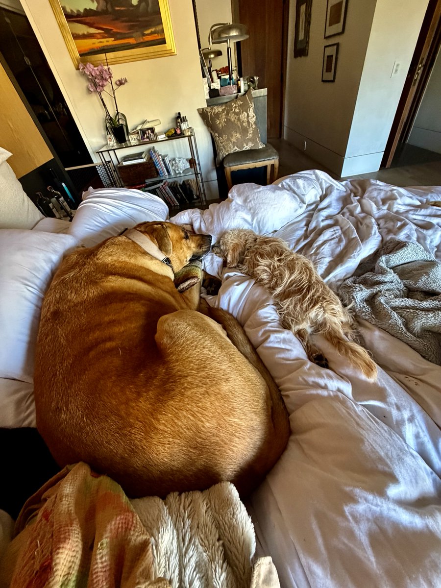 Amy Aiello Lofgren tweet media