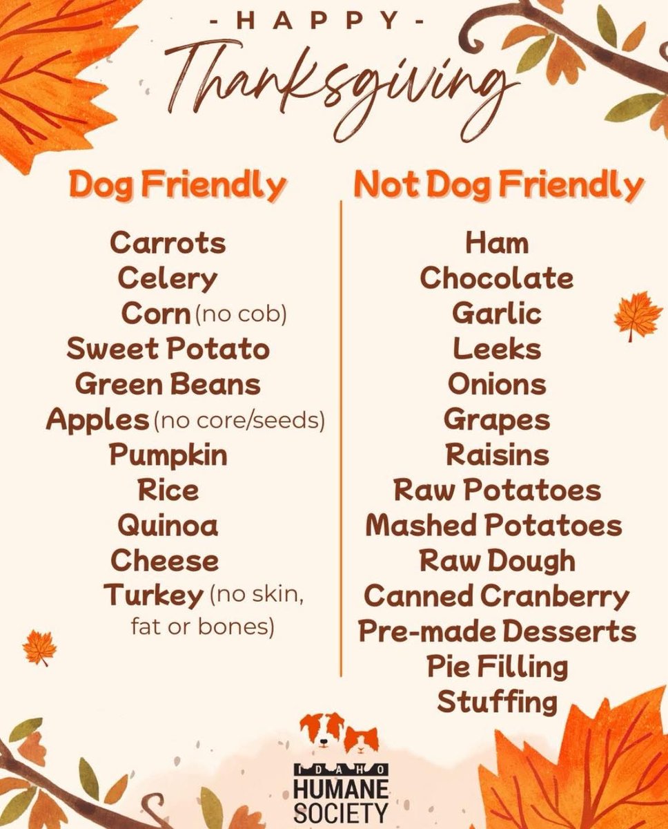 JaggardTech's tweet image. For all my fellow dog lovers out there!