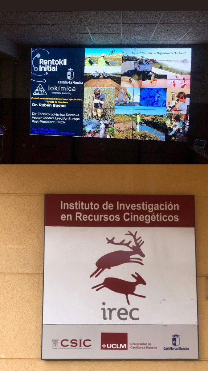 rubueno10's tweet image. 🦟 Hoy en el @IREC_CSIC_UCLM para hablar sobre #mosquitos, #arbovirosis y #ControlVectorial 🦠
#Dengue #Chikungunya #FiebreDelNilo
@lokimica @Rentokil_es