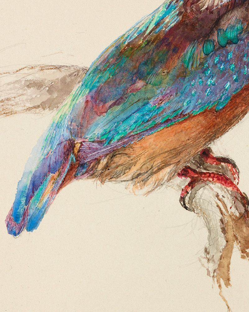 Ashmolean Museum tweet media