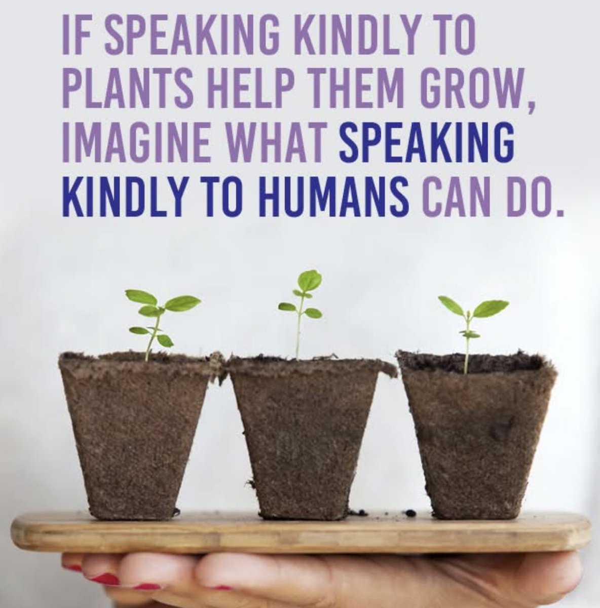 Jamila khan (@gemthatiam) on Twitter photo 