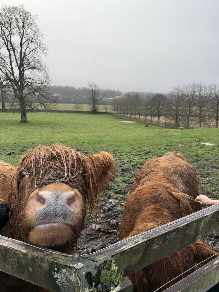 Cameron Sperance tweet media