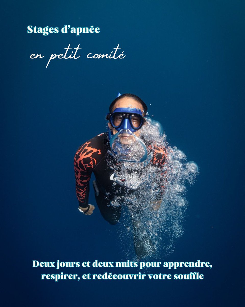 Pierre FROLLA tweet media
