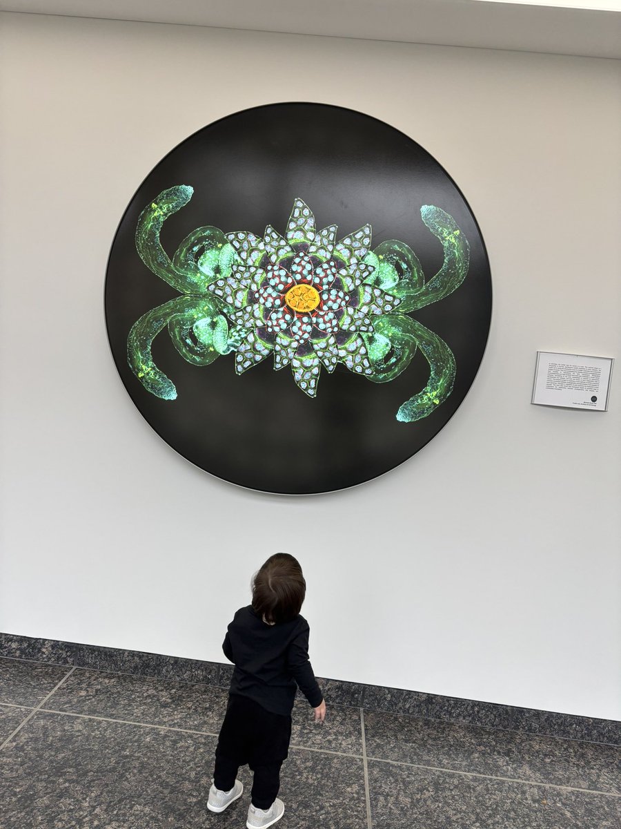 Emily Steinbach tweet media