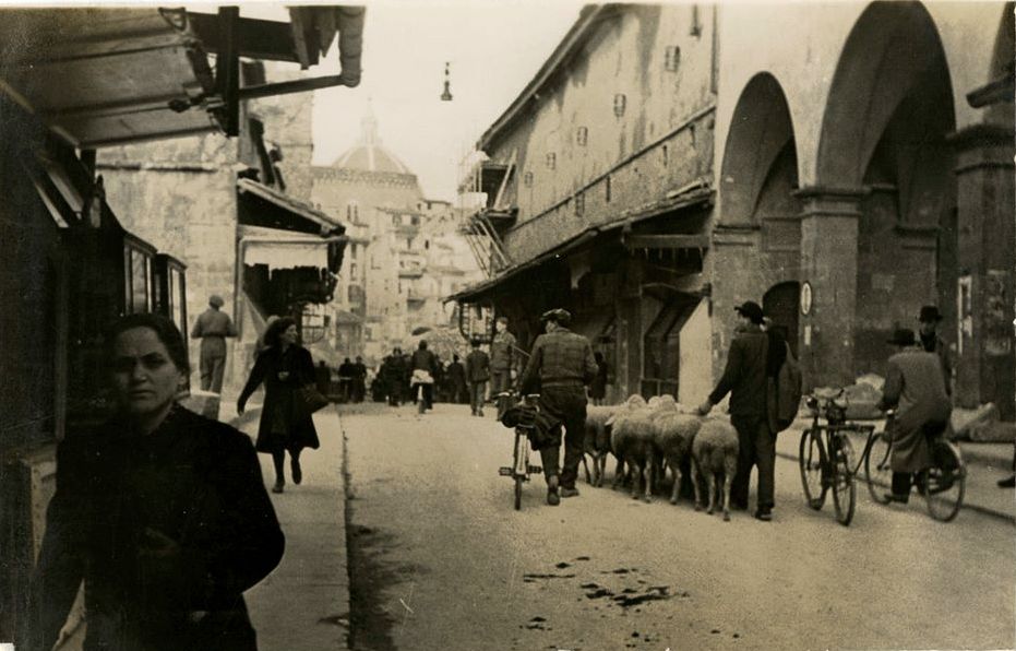 ConisciFirenze's tweet image. Eccola qui una Firenze che non c’è più, colta in uno di quei momenti sospesi del primissimo dopoguerra: sul Ponte Vecchio non solo biciclette e passanti, ma persino un piccolo gregge

#Firenze #PonteVecchio #Dopoguerra #StoriaDiFirenze #MemorieFiorentine #FotografieStoriche