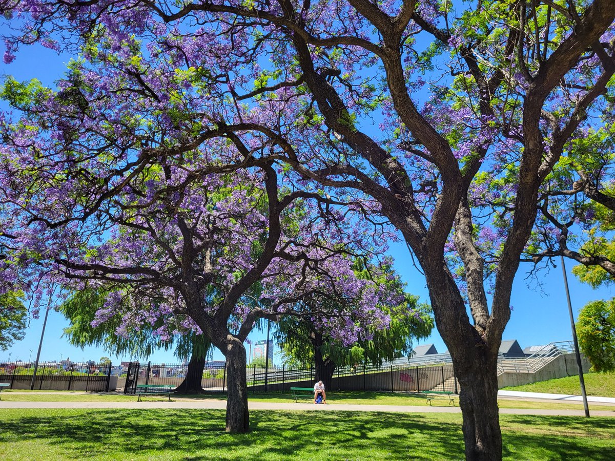 robertbrienza's tweet image. Devconnect/ETHGlobal General Highlights:
-Devconnect venue was excellent; mixed indoor/outdoor space with good weather really brought the energy up vs the usual air conditioned warehouse/conference center
-Side events were mostly within a small distance of each other (didnt have…