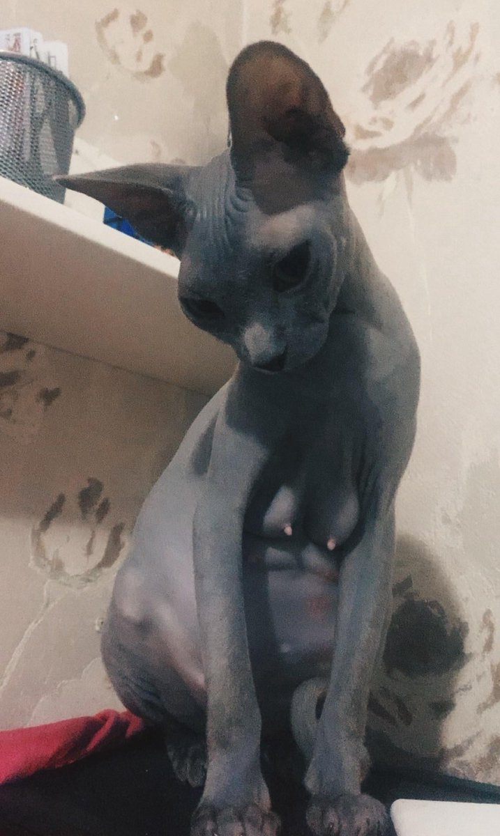 TheYard's tweet image. greetings cronem.

episode back up