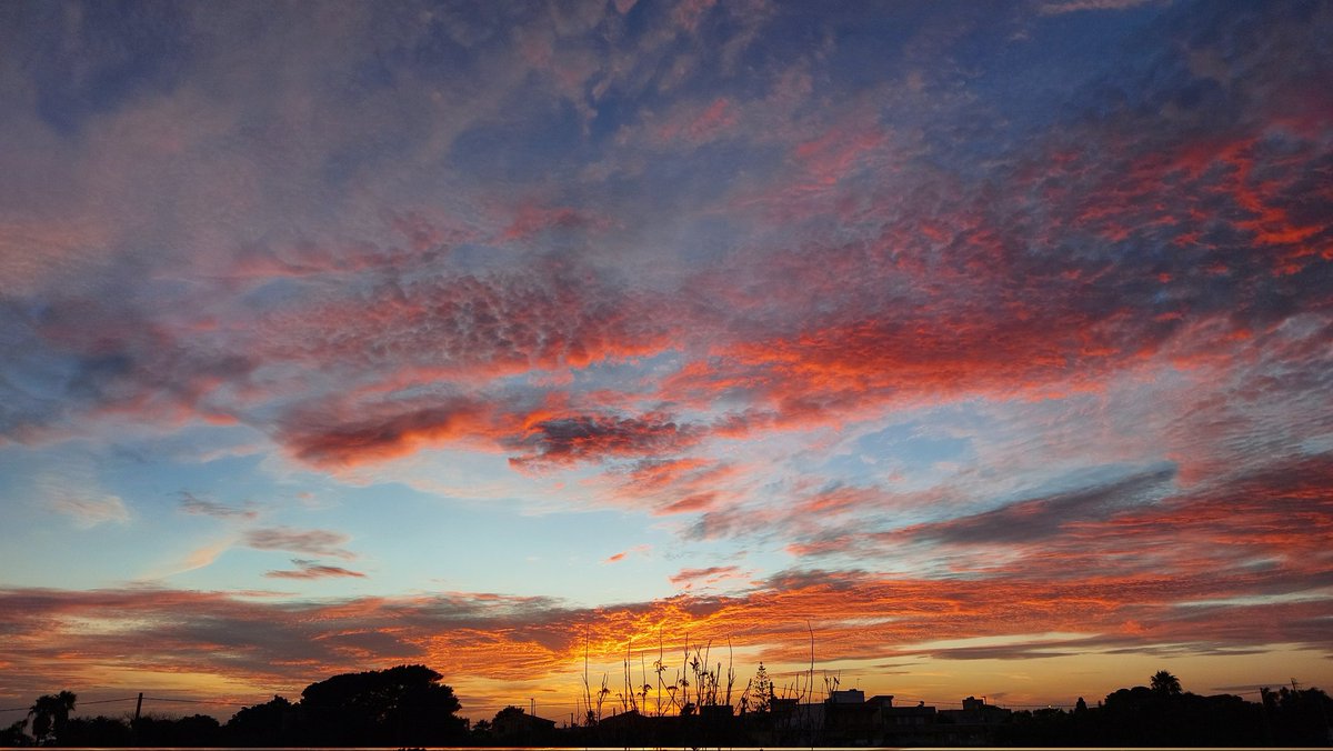 mifacciouncaffe's tweet image. Solo una grande, immensa, unica tavolozza di colori. ♡