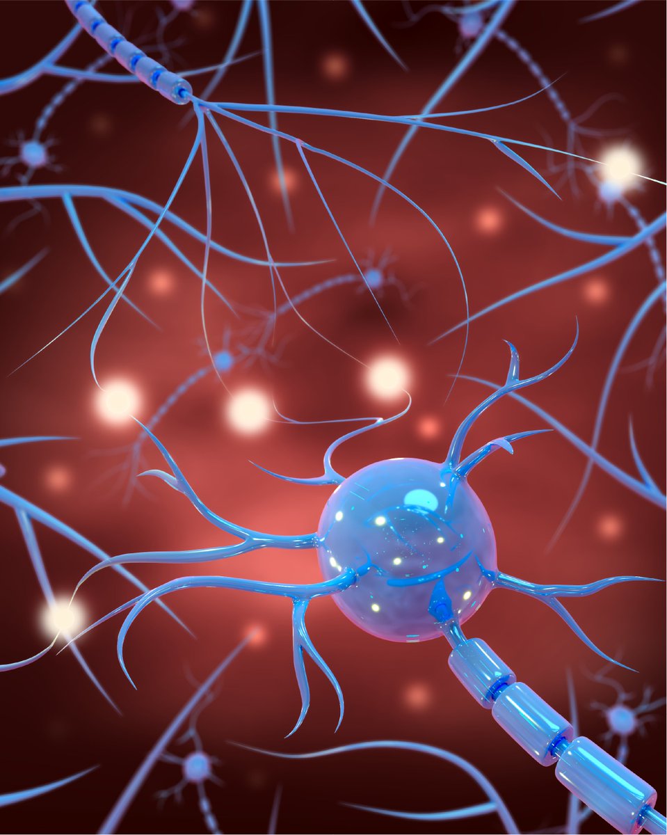 LachinaCreative's tweet image. 🧠✨ At Lachina Creative, we’re fascinated by the beauty of the brain’s intricate network! Here’s a glimpse into the art of seeing the unseen.
#NeuralNetwork #CreativeConnections #BrainInspiration #VisualStorytelling #InnovateWithUs #CreativeAgency