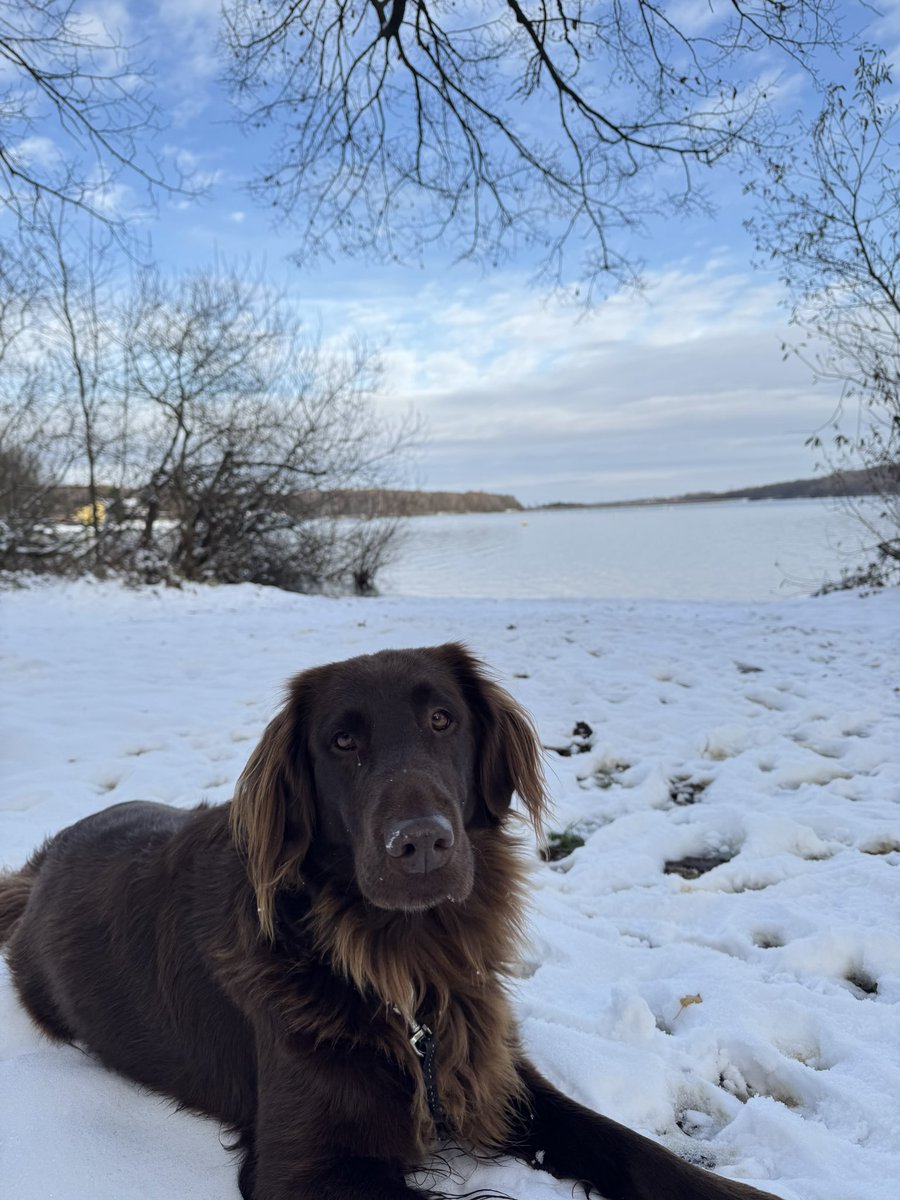 Kristian Csepcsar tweet media