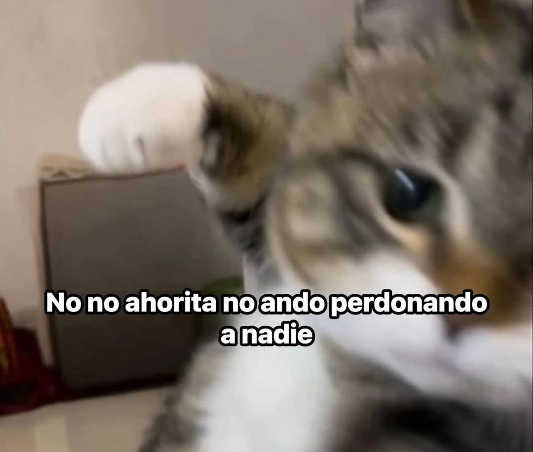 Voy a tratar de hacer stream a las 19:00 CL, digo tratar porque después de clases estoy hecho bolsa dkkfkfkdkf u u
Por el canal de siempre en el morado
Twitch. tv/shikinoraneko