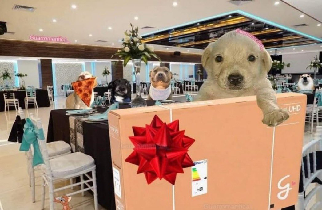 Guarromantico_'s tweet image. Nadie:

El we que lleva una semana en la chamba el día de la posada: