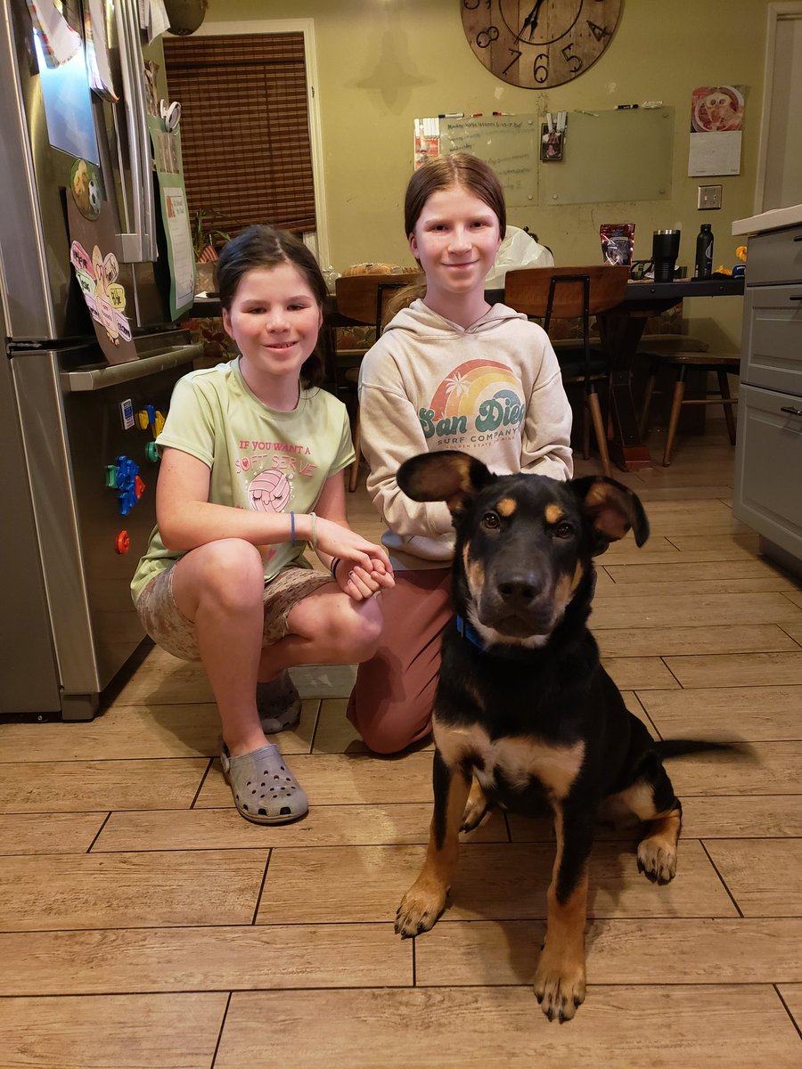 JasonWMizer's tweet image. Welcoming our newest member of the family, Dodge.

He slept mostly through the night, and now the girls are running through the house with him. Oh, and his squeaky toy is named Timmy. If you&apos;ve read Space Cheese, you&apos;ll get it. 🤪👍