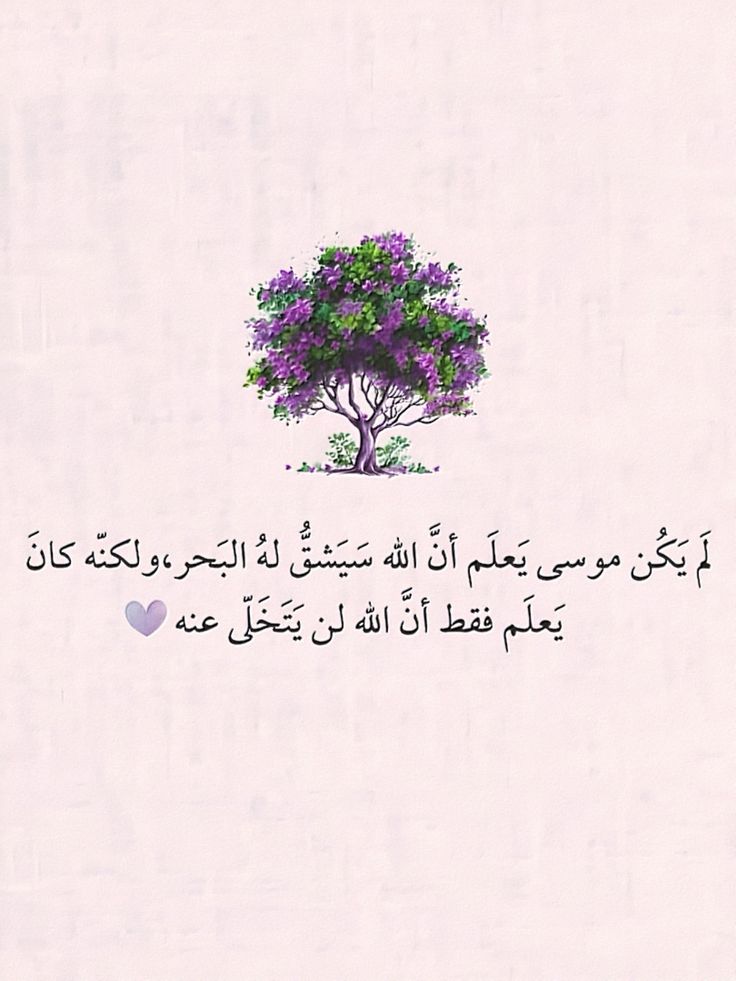 motm2na_'s tweet photo. ثق بالله واطمئن💜.. https://t.co/EmfnNp79c7
