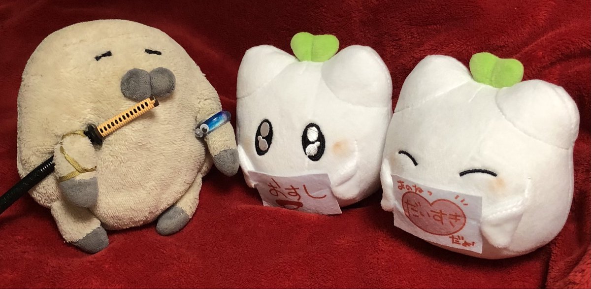 secondkotetsu's tweet image. 池袋のラウンドワンで、#もふぅレスキュー に挑戦！
苦戦はしたが、無事に２もふぅをレスキューできた🌱🌱🦭✨
うちのもふぅ（お台場担当）と連携して、無事に全もふぅをレスキューできてひと安心✨
みんなきゃわわだ🌱🌱🌱🌱🌱✨
#ラウンドワン限定プライズ
#ぬい活 #ぬい撮り #妖精のもふぅ