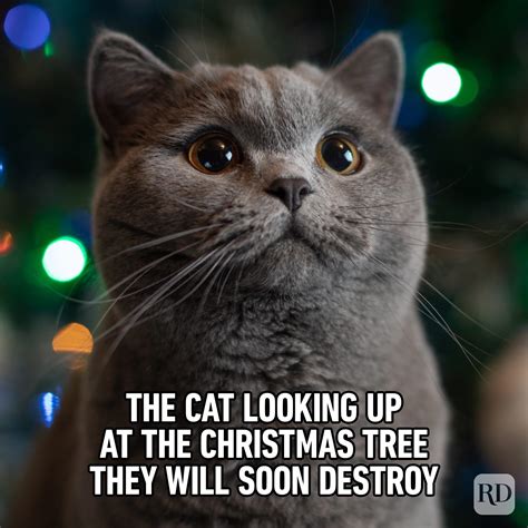 We hope you are rolling into the weekend like this! Have a safe and happy weekend and we are here if you need us 903-893-5615