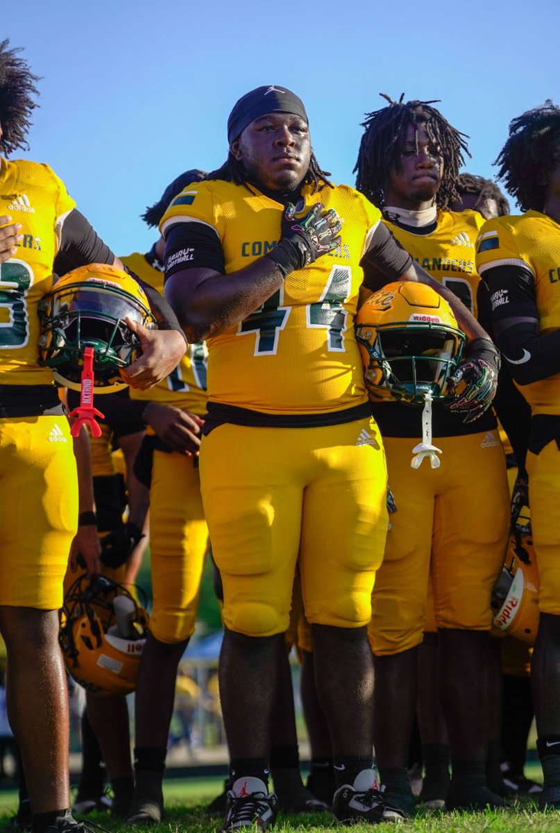 Marion laguerre tweet media