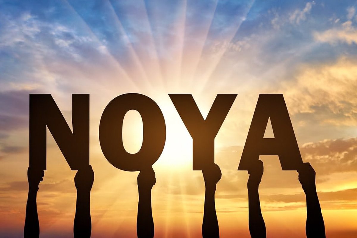 One AI across every chain, running every strategy.
Lend, borrow, trade, and grow yields automatically the way DeFi was meant to be.
<a href="/NetworkNoya/">NOYA.ai</a>