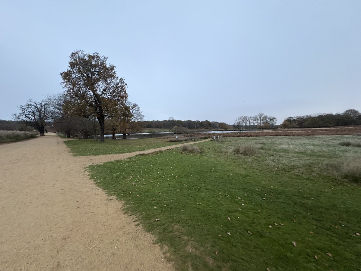 devadam88's tweet image. Day 32 and 33 of #100DaysOfExercise

17km run in Richmond Park London on Saturday.

7km trail walk from Kingston upon Thames to Richmond.

All with my running / hiking / walking buddy 🙂