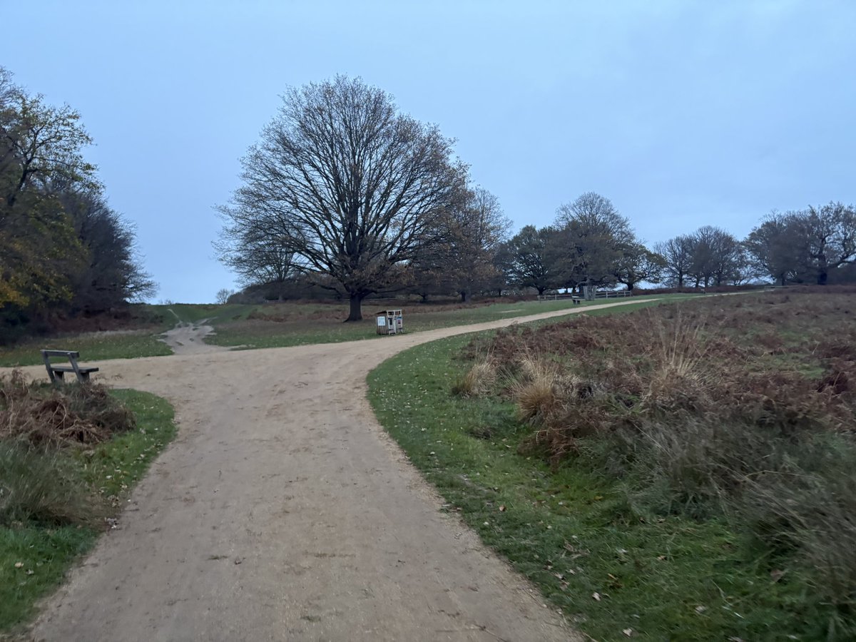 devadam88's tweet image. Day 32 and 33 of #100DaysOfExercise

17km run in Richmond Park London on Saturday.

7km trail walk from Kingston upon Thames to Richmond.

All with my running / hiking / walking buddy 🙂
