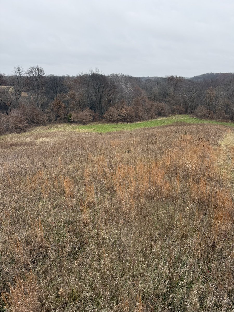 Daniel Mairet tweet media