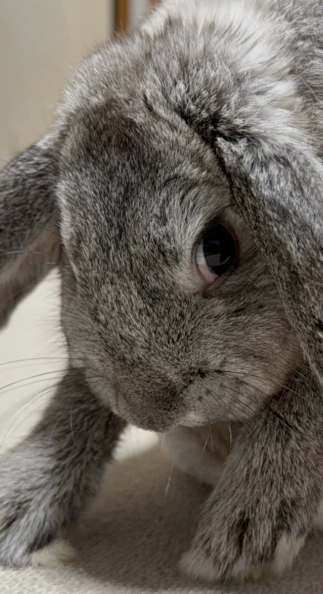 おやすみなさい💤