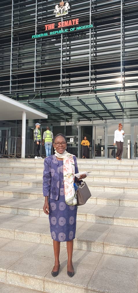 genotypeF's tweet photo. Today at the Senate Chamber for the  Sickle Cell Disorder Research Therapy Center Abuja. Sections of bill hearings for Sickle Cell Disorder in Nigeria. In Attendance are some  members of Coalition Of Sickle Cell NGO'S in Nigeria https://t.co/uDtrbUzCFi