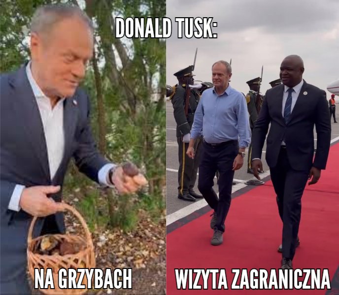 <a href="/JNizinkiewicz/">Jacek Nizinkiewicz</a> Nie no gdzie premier marynarkę ubiera tylko do zbierania prawdziwków pod cisem🤣😂