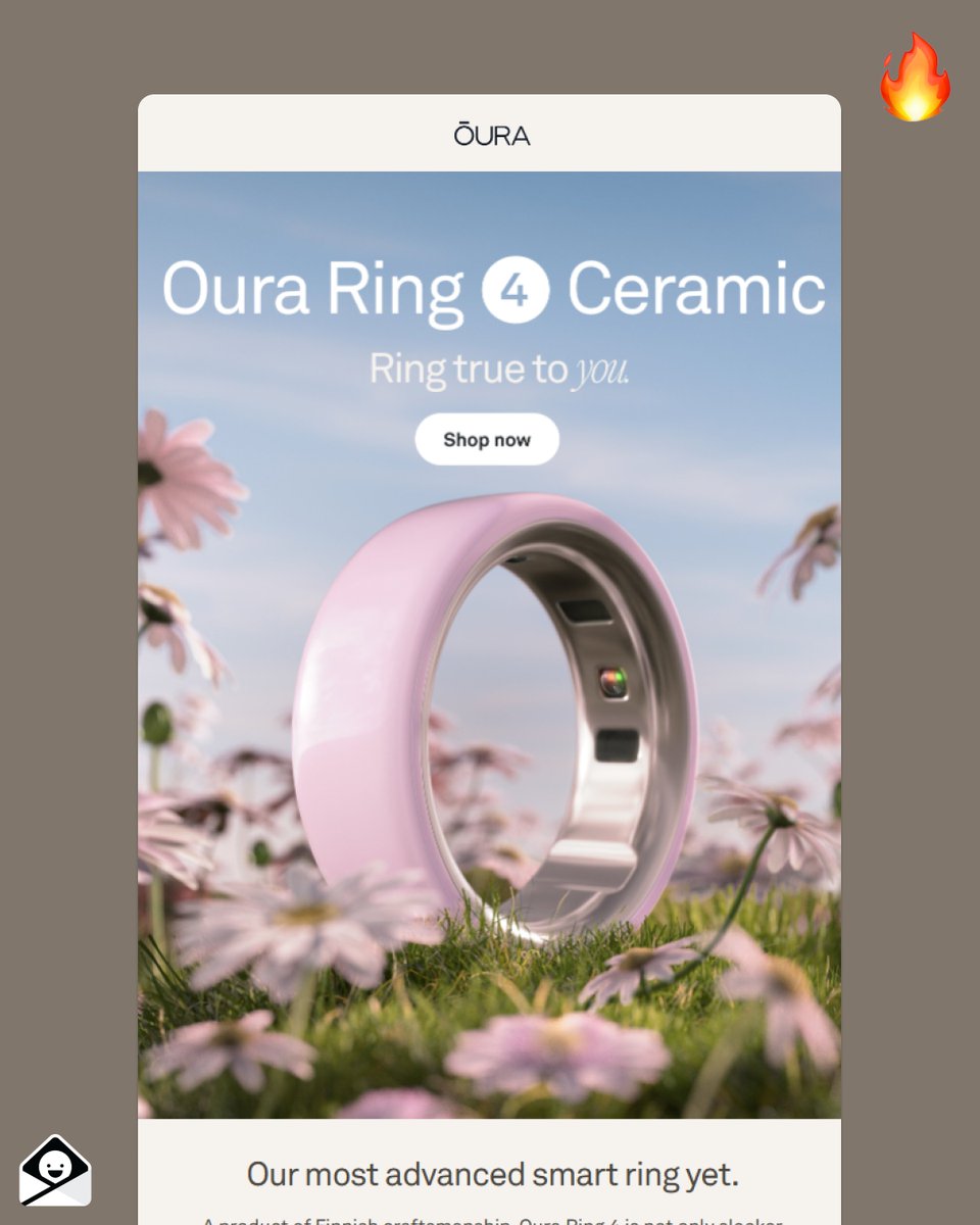 Really Good Emails 💌 tweet media