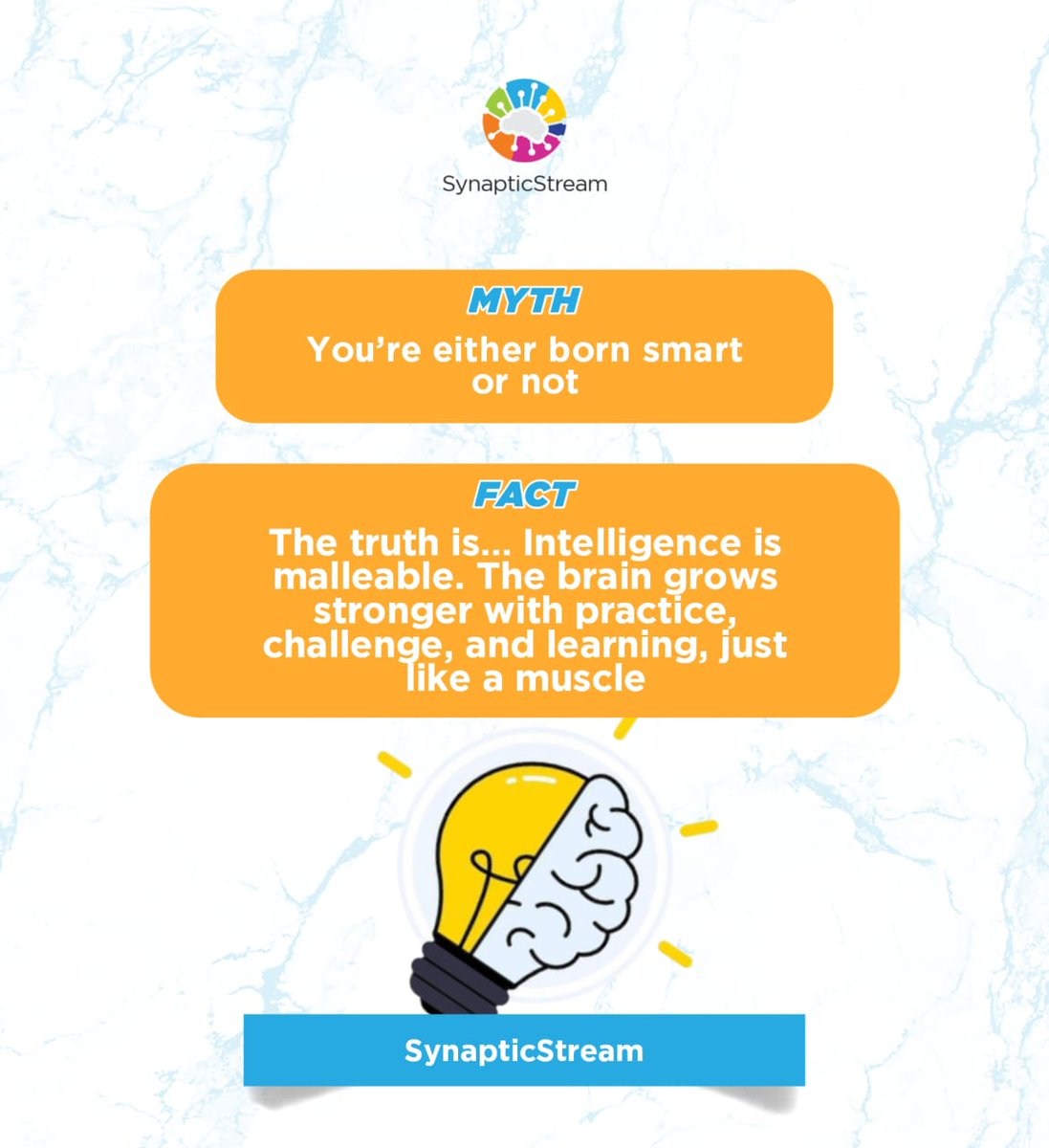 SynapticStream's tweet photo. Hi Brain Enthusiasts,

In this week’s edition of Neuroscope, we’re taking a quick dive into some of the most common but misleading brain myths. 🧠✨

You’ve probably heard claims like “we only use 10% of our brains” or other ideas that sound cool but aren’t backed by science. https://t.co/F3E6CJsGEi