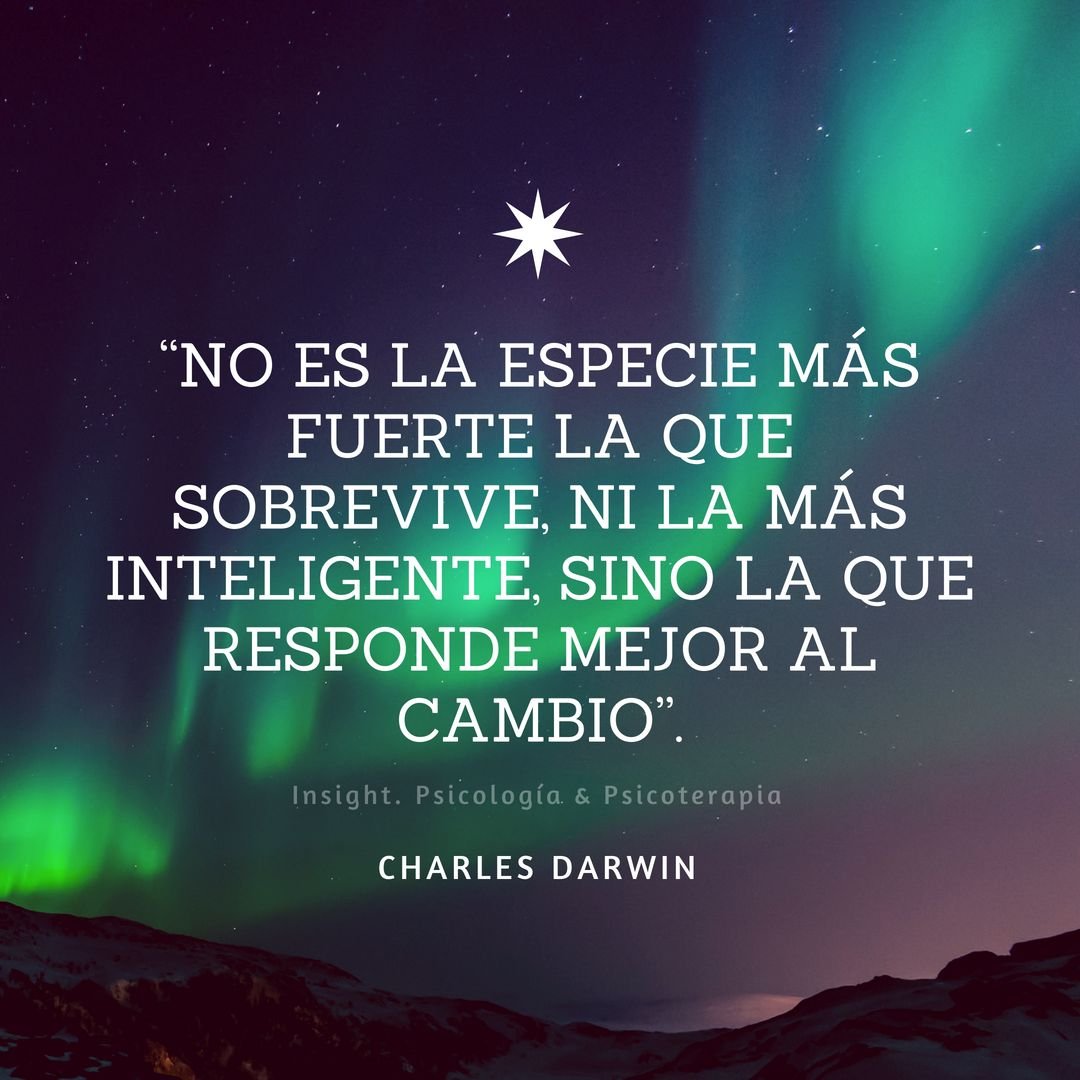 abarcaredic's tweet image. El 24 de noviembre de 1859 se publica
#ElOrigendelasEspecies de #CharlesDarwin, precursora en el fundamento de &quot;la teoría de la biología evolutiva&quot;.
Con ella logró integrar evidencias de campos tan dispares como la biogeografía, la paleontología, la anatomía y la embriología.
📖