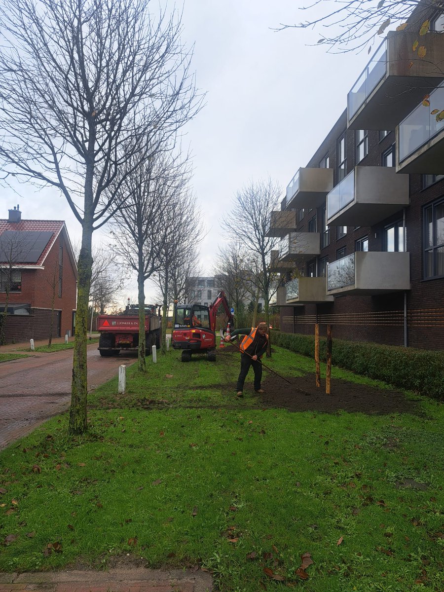 ptvanderplas's tweet photo. Op diverse locaties binnen onze gemeente worden de komende weken bomen herplant. Dit zijn bomen die vorig of afgelopen  jaar door onze gemeente zijn gekapt vanwege ziekte, stormschade of andere redenen.  Hiervoor geldt herplantplicht. In totaal worden er 81 st. bomen geplant. https://t.co/A3BBFpTraw