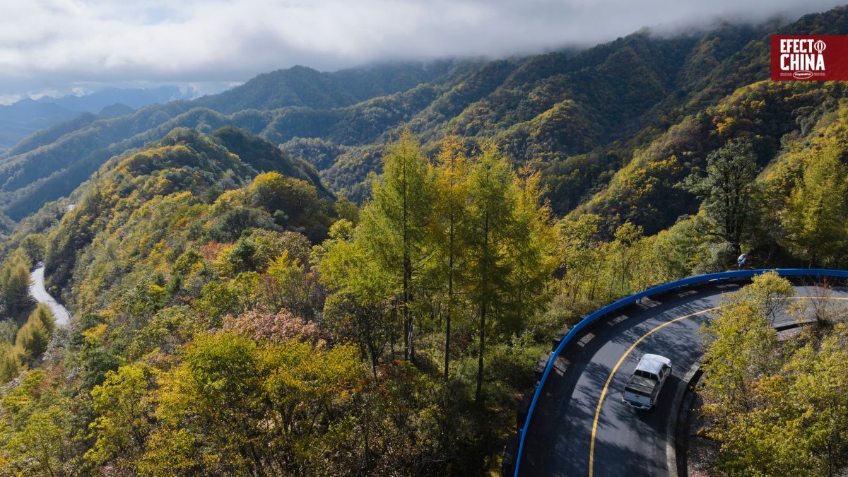 China endurece normas para combatir incendios forestales y proteger zonas rurales @EfectoChina tinyurl.com/yhps5ff5